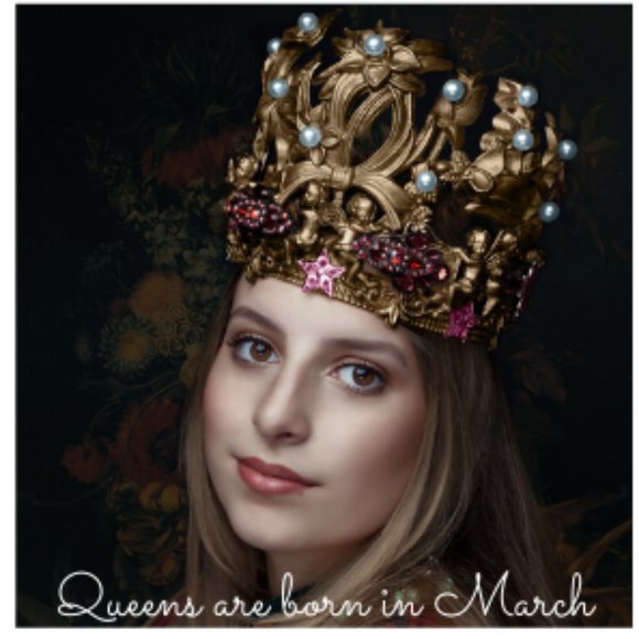 Meet your Posher, Tess - Picture 1 of 2